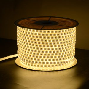 IP66 Rated 2835 Outside Panorama Lighting – 100m Multi-Shade Altering LED Rope Mild Strip