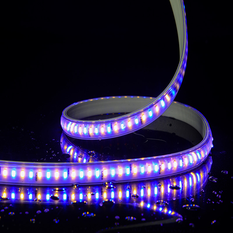 IP66 Rated 2835 Outside Panorama Lighting - 100m Multi-Shade Altering LED Rope Mild Strip