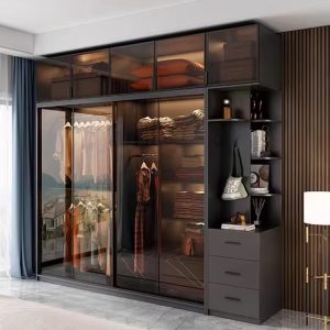 Premium Trendy Excessive-Finish Bed room Closet Furnishings That includes LED Lighting and Glass Doorways